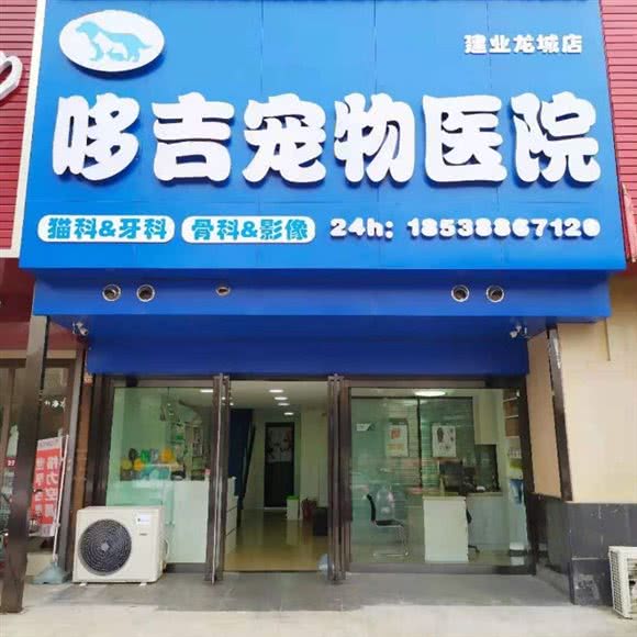 哆吉宠物医院24h(建业龙城店):洛阳市洛龙区泉舜广场附近
