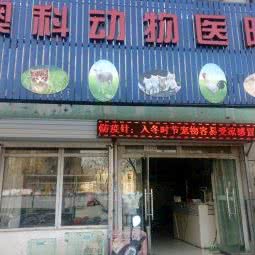 澳科宠物医院:洛阳市洛龙区大学城附近