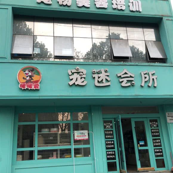 宠迷会所:洛阳市洛龙区宝龙城市广场附近
