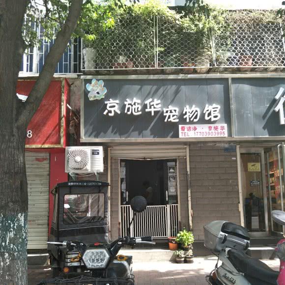 京施华宠物馆:平顶山市新华区曙光街/第二人民医院附近