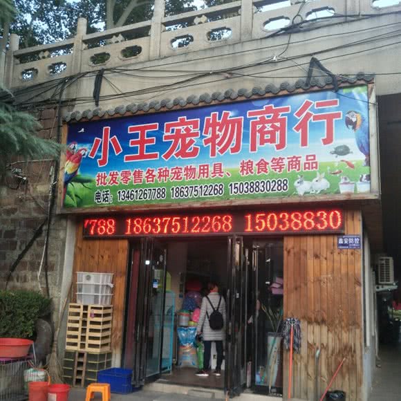 小王狗狗商行:平顶山市新华区曙光街/第二人民医院附近