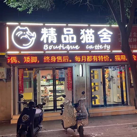 精品猫舍(湛北路总店):平顶山市新华区曙光街/第二人民医院附近