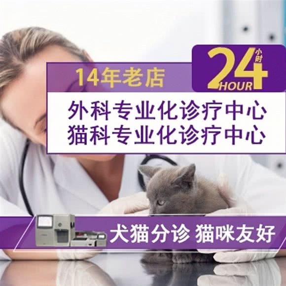 超级宠24小时宠物医院·犬猫急重症转诊中心·猫病医院:平顶山市新华区鹰城广场附近