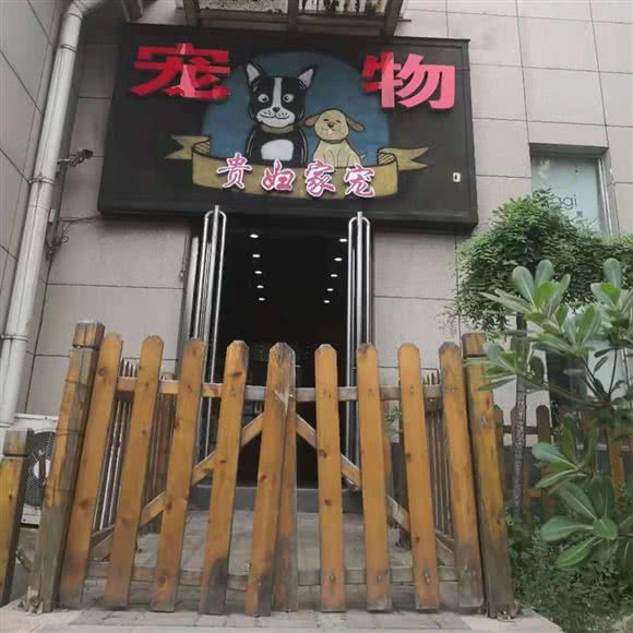 贵妇家宠·宠物(公正路店):平顶山市新华区市政府附近