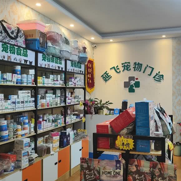 延飞宠物门诊(延飞宠物门诊总店):平顶山市新华区市政府附近