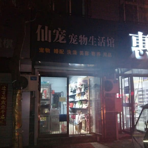仙宠宠物生活馆:平顶山市卫东区建东小区附近