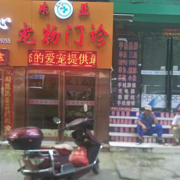 东亚哺乳动物门诊:平顶山市卫东区东环路附近