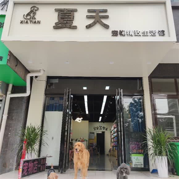夏天宠物精致生活馆:平顶山市湛河区湛河区中心城区附近