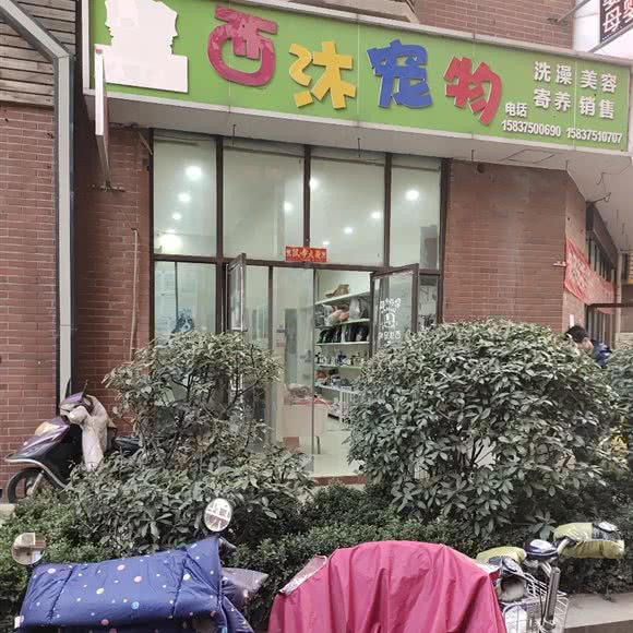 西沐宠物:平顶山市湛河区姚电大道附近
