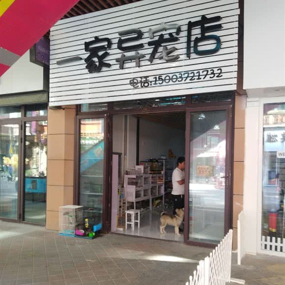 一家异宠店:安阳市文峰区文峰万达广场附近