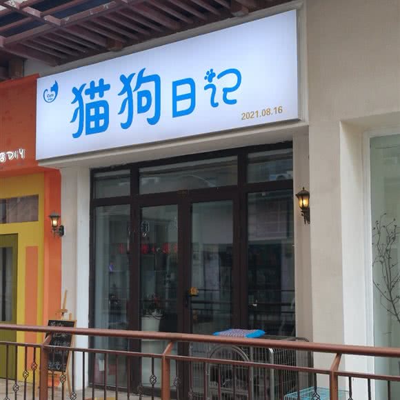 猫狗日记:安阳市文峰区文峰万达广场附近