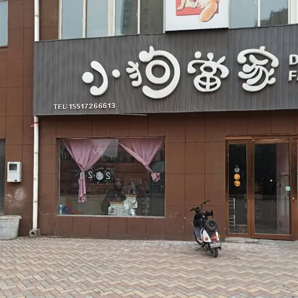 小狗当家:安阳市文峰区安阳一中附近