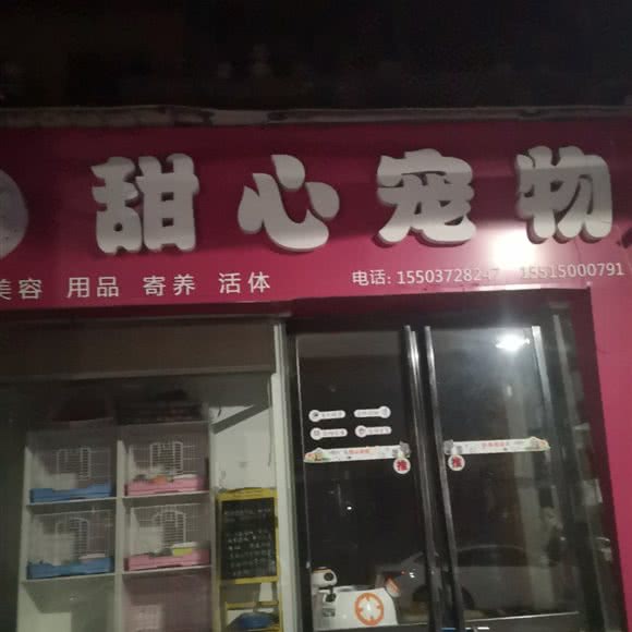 甜心宠物:安阳市文峰区北大街附近
