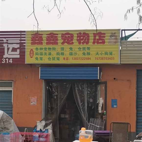 鑫鑫宠物店:安阳市北关区北辰家园附近