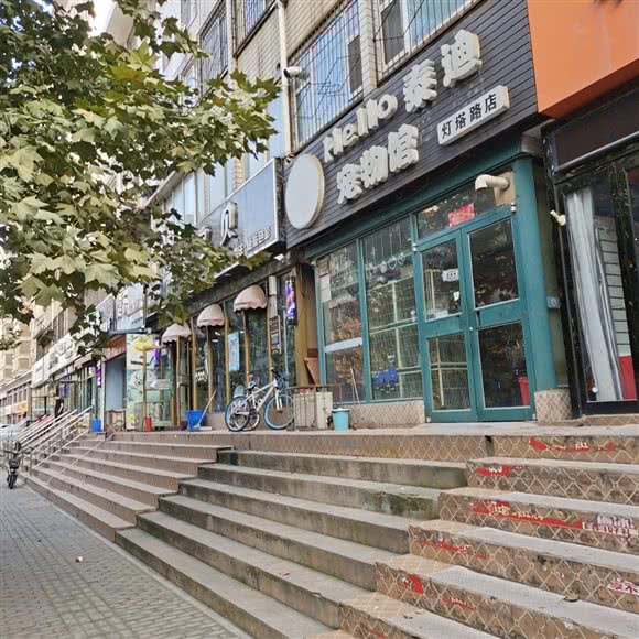 HEIIO泰迪宠物馆(灯塔店):安阳市北关区万意广场附近