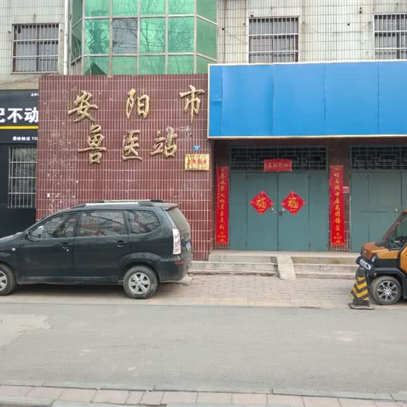 安阳市兽医站:安阳市北关区广厦曼哈顿附近