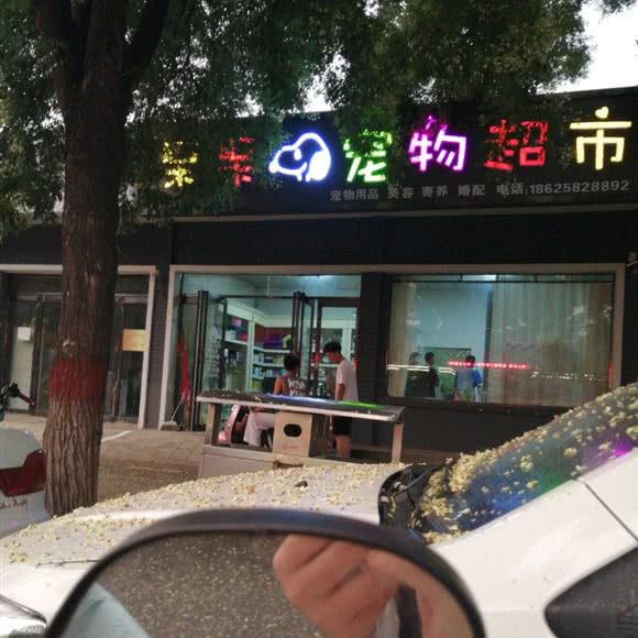 呆呆宠物超市:安阳市殷都区文源街附近