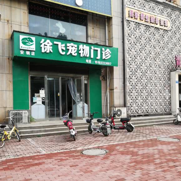 徐飞宠物门诊(安钢店):安阳市殷都区安阳汽车客运西站附近