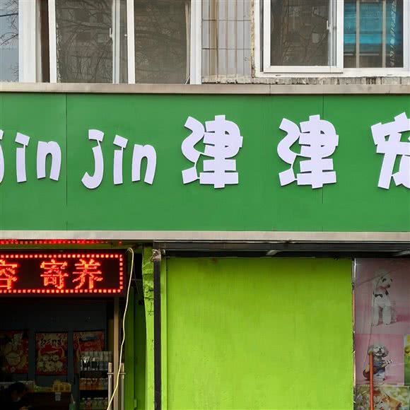 津津宠物店:鹤壁市山城区枫岭公园附近