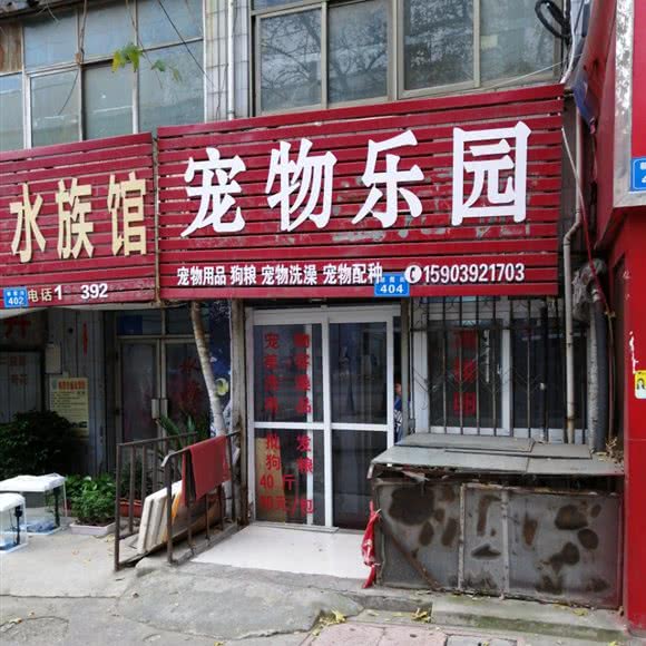 宠物乐园:鹤壁市山城区枫岭公园附近