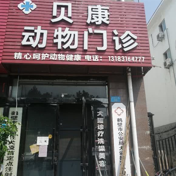 贝康宠物门诊:鹤壁市淇滨区经济开发区附近