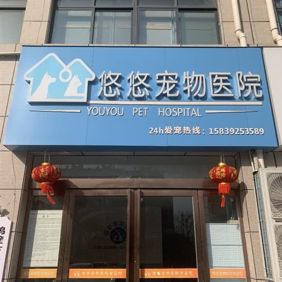 悠悠宠物医院:鹤壁市淇滨区会展中心附近