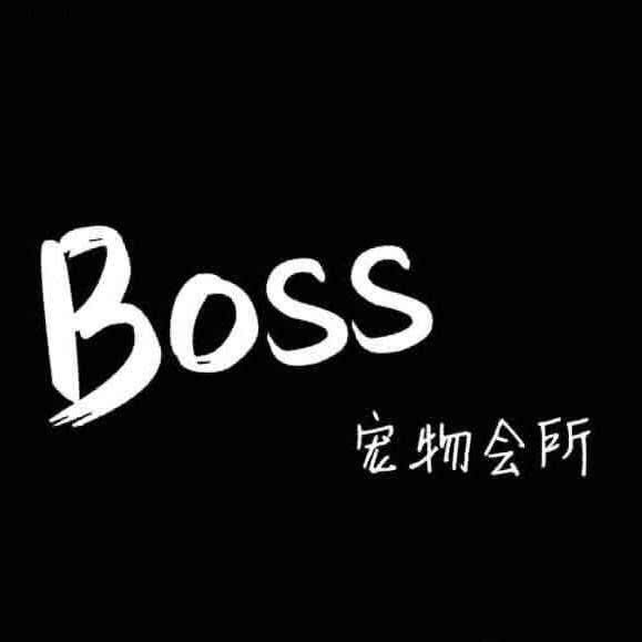 BOSS宠物会所东站店:新乡市红旗区人民公园附近