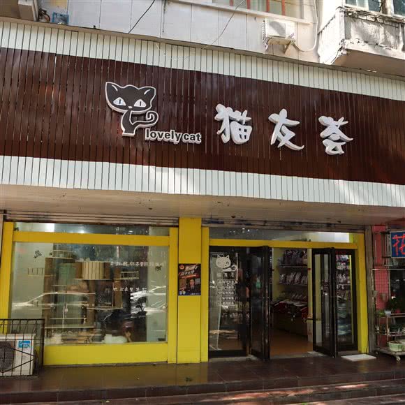 猫友荟:新乡市卫滨区解放路沿线附近