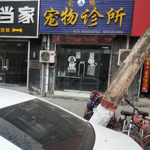 宠缘宠物诊所:新乡市卫滨区解放路沿线附近
