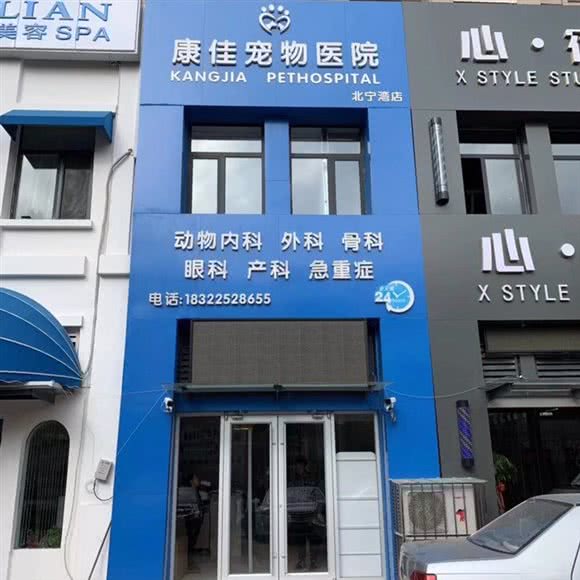 康佳宠物医院(北宁湾店):天津城区河北区铁东路街附近