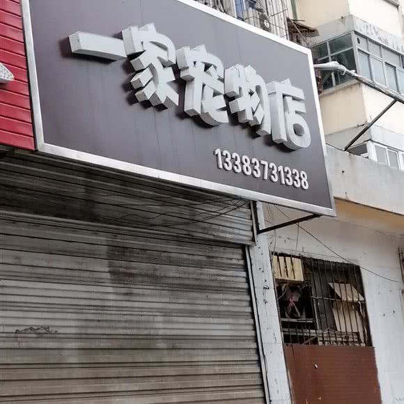 一家宠物店:新乡市卫滨区市体育场附近