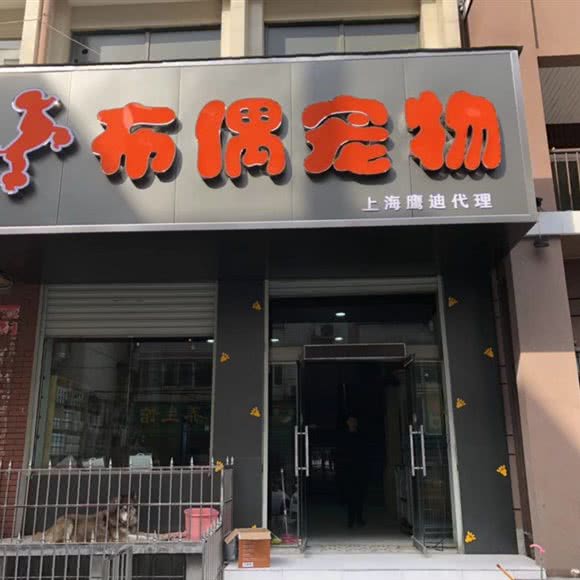 布偶宠物:新乡市牧野区宏力大道沿线附近