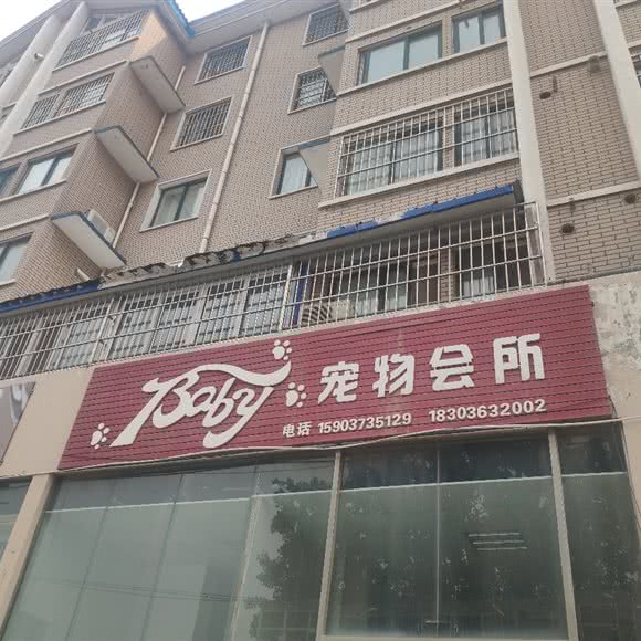 baby宠物会所:新乡市牧野区铁西附近
