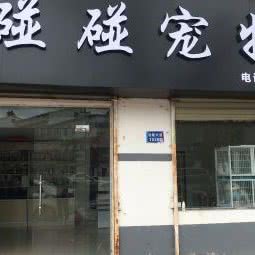 碰碰宠物:新乡市长垣市长垣市附近