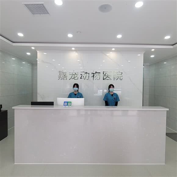嘉宠动物医院:新乡市长垣市长垣市附近