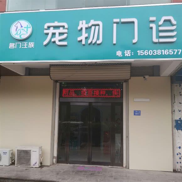 名门汪族宠物门诊:新乡市长垣市长垣市附近