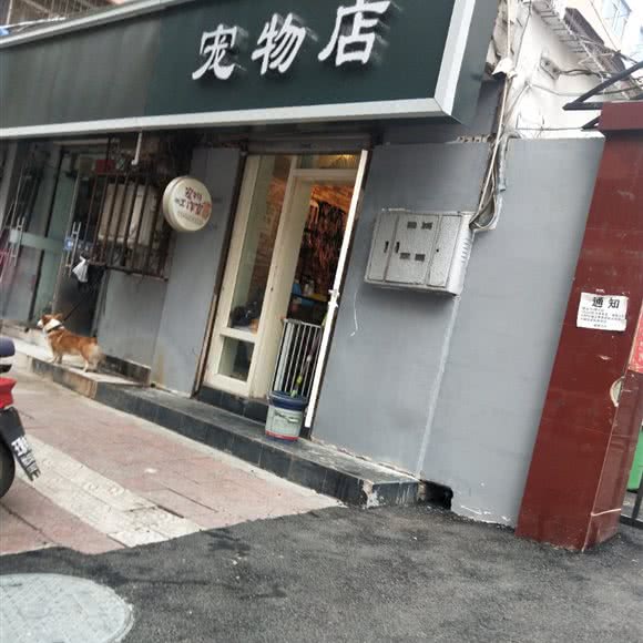 宠物店:焦作市解放区南北苑附近