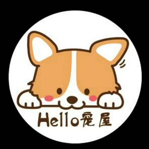 Hello宠屋(工业路店):焦作市解放区焦作站/万基商务中心附近