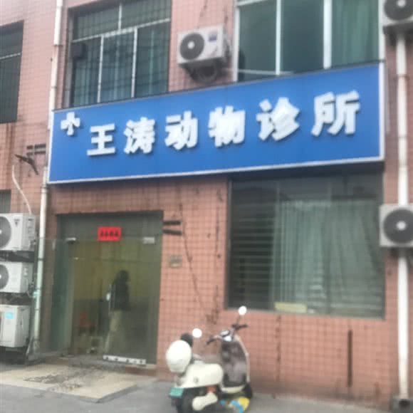 王涛动物诊所:焦作市解放区大杨树/中医院附近