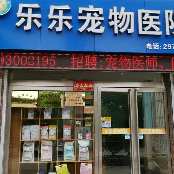 焦作乐乐宠物医院:焦作市解放区大杨树/中医院附近