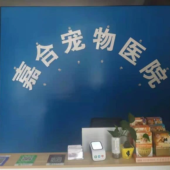 嘉合宠物医院:焦作市解放区新新家园/万基附近