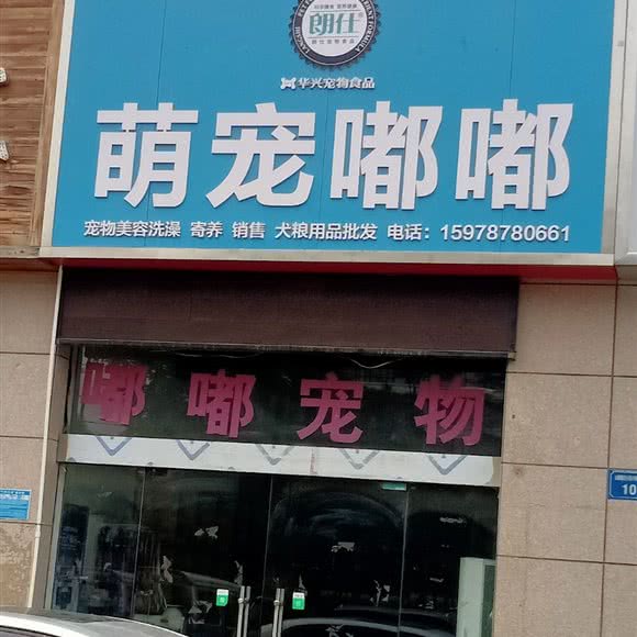 萌宠嘟嘟:焦作市山阳区龙源湖附近