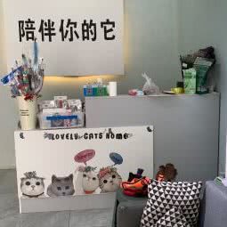 陪伴你的它:濮阳市华龙区华府山水附近