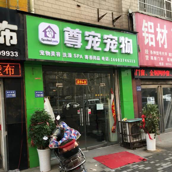 尊宠宠物:许昌市魏都区许继大道沿线附近