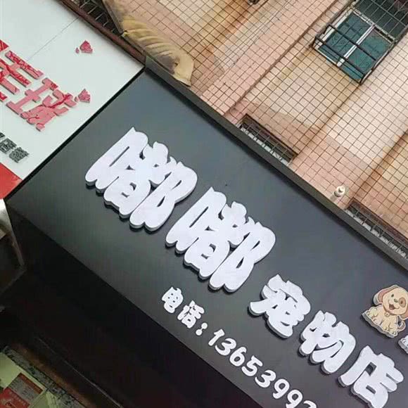 嘟嘟宠物店:漯河市源汇区新玛特/外滩附近