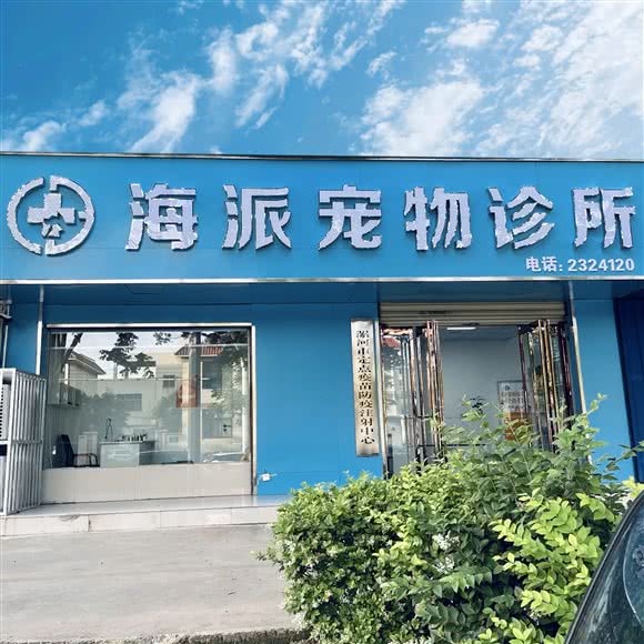 海派宠物诊所:漯河市源汇区漯河大学/汉江路附近