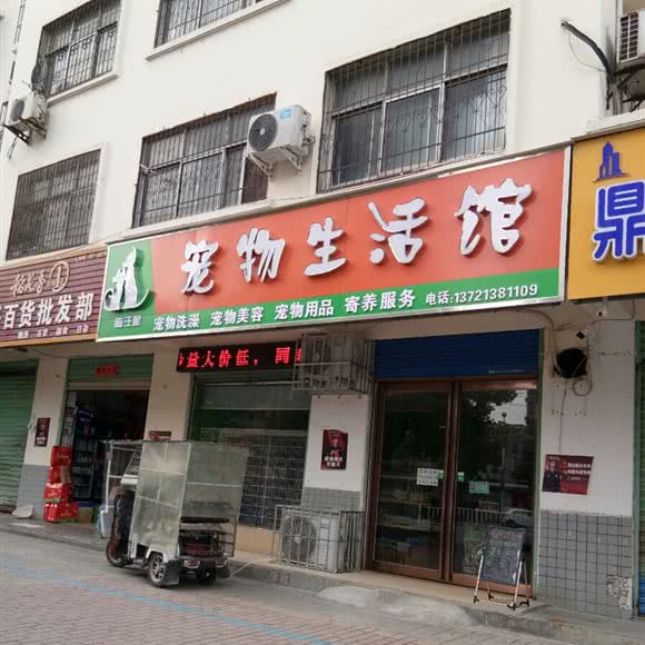 喵汪星宠物生活馆:漯河市源汇区螺湾小镇/碧桂园附近