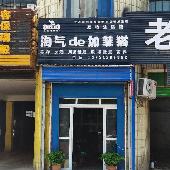 淘气的加菲猫宠物生活馆:漯河市召陵区人民医院/漓江路附近