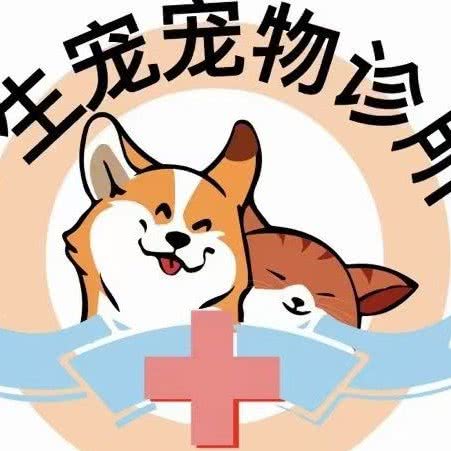 人生宠宠物诊所:三门峡市湖滨区湖滨广场附近