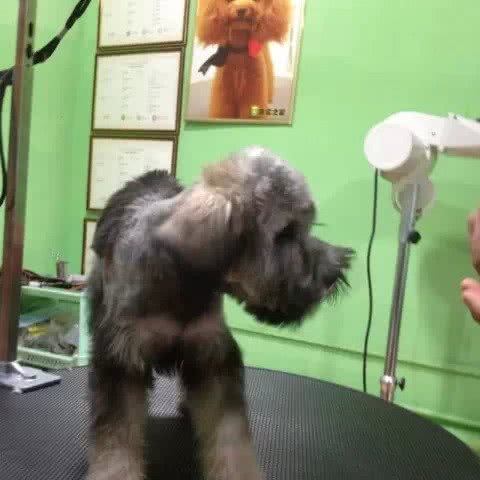 贵宾之家(新华东路店):南阳市宛城区鸿德附近